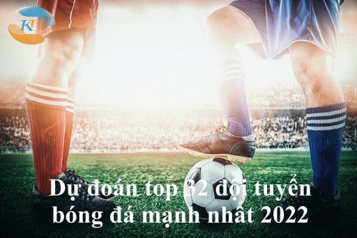 đội tuyển tại World Cup 2022