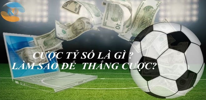 cá cược