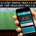 Cá cược trong trận là gì?