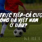 Trực tiếp bóng đá Việt Nam