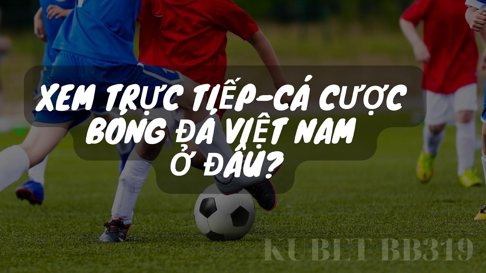 Trực tiếp bóng đá Việt Nam