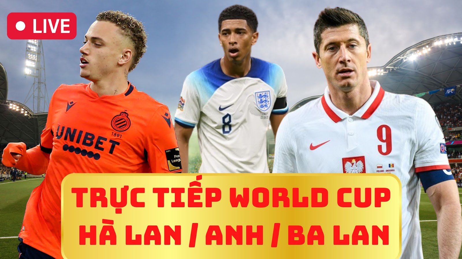 Trực tiếp World Cup Hà Lan / Anh / Ba Lan